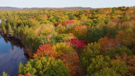 Aerial-View-Of-reds-and-yellows-Beside-Lake,-Near-Montreal,-Canada