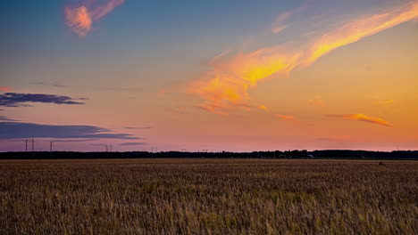 Bogenförmige-Wolken-Leuchten-Bei-Sonnenuntergang-Gelb,-Orange-Und-Rosa-über-Dem-Leeren,-Kargen-Weizenfeld
