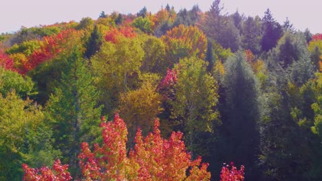 Oncoming-Fall-Foliage-Beside-Lake,-Near-Montreal,-Canada