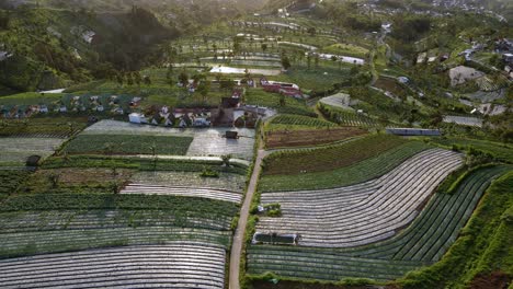 Aerial-view-of-the-building-in-the-middle-of-a-vegetable-plantation-on-a-mountain-slope