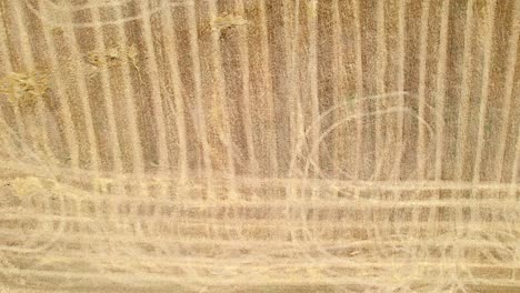 Tractor-marks-and-harvested-agriculture-field,-aerial-top-down-view