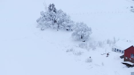 Paisaje-Nevado-Con-Cabañas-Y-árboles-Cubiertos-De-Nieve-En-Indre-Fosen,-Noruega---Disparo-Aéreo-De-Drones