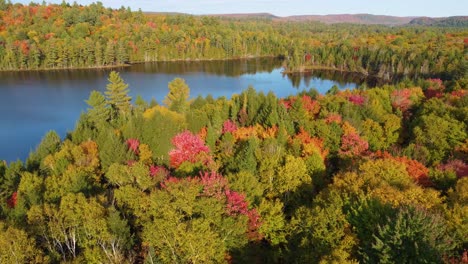 Luftbild-Schöne-Naturlandschaft-Mehrfarbiger-Wald-In-Der-Nähe-Des-Lake-Montreal-Kanada