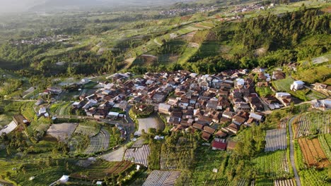 Aerial-view-of-countryside-on-the-slope-of-mountain-surrounded-by-green-vegetable-plantation