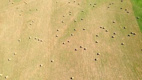 Endless-number-of-haybales-in-agriculture-field,-aerial-drone-view