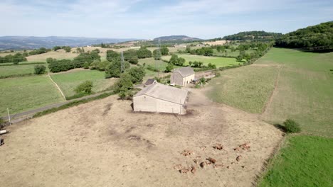 Cattle-farm-with-livestock-and-buildings-in-France,-aerial-orbit-view