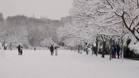 People-In-Public-Park-On-A-Snowy-Day