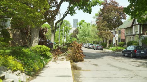 A-pan-out-reveal-shot-of-a-fallen-tree-on-the-sidewalk-after-a-giant-wind-storm