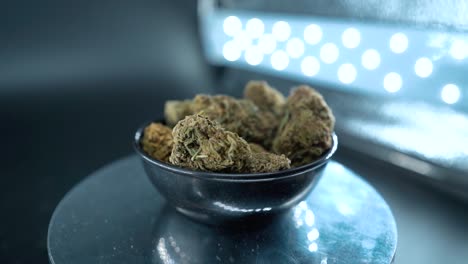 Green-Dried-Marijuana-Buds-Close-Up-Static-Shot,-pile-of-dried-marijuana-plants-in-a-shiny-bowl,-trichomes-strains,-on-a-reflecting-rotating-stand,-studio-lights,-cinematic-slow-motion-120-fps-video