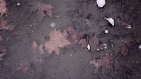 Snowflakes-falling-at-the-frozen-water-with-fallen-leaves-in-the-forest,-close-up