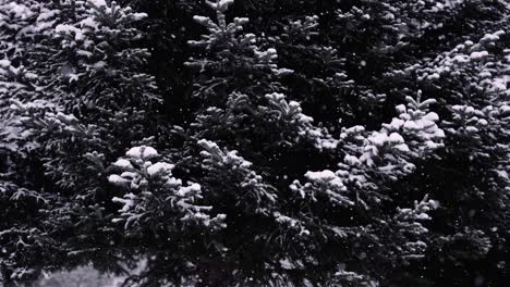 Slow-motion-trees-while-snowing-heavily-in-the-forest,-moody-cinematic-shot