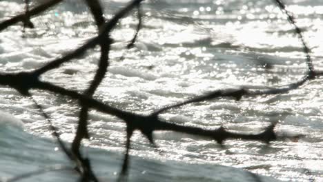 Ocean-waves-crash-strong-and-spread-whitewash-over-shoreline-with-glistening-sparkles-and-mangrove-branches