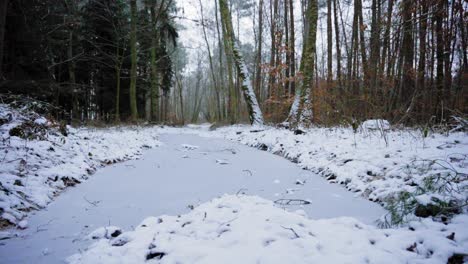 Schöner-Winterschneewald