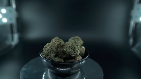 Green-Dried-Marijuana-Buds-Close-Up-Shot,-pile-of-dried-marijuana-plants-in-a-shiny-bowl,-trichomes-strains,-on-a-reflecting-rotating-stand,-studio-lights,-cinematic-slow-motion-120-fps-follow-left