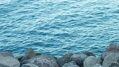 Turquoise-Waters-and-Rocky-Shoreline-of-Tenerife-Sea