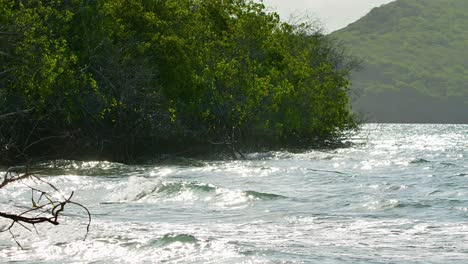 Calm-ocean-waves-crash-and-roll-into-mangrove-forest-with-glistening-sunlight-dancing-off-water