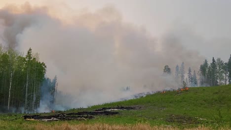 Fuerte-Incendio-Forestal-Con-Llamas-Y-Humo-Quemando-Pinos-En-Alberta,-Canadá