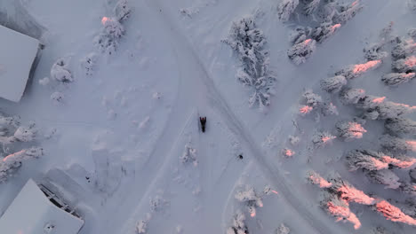 Snowmobiles-in-arctic-wilderness,-sunny-morning-in-Lapland---Overhead,-drone-shot