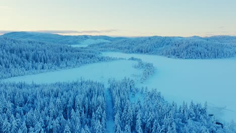 Countryside-Landscape-With-Frozen-Lake-And-Snow-Covered-Trees-In-Winter---Aerial-Drone-Shot