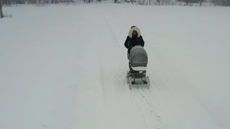 Female-with-baby-carriage-walk-through-winter-snowfall-on-countryside-road