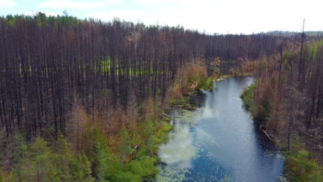 El-Flujo-De-Agua-Del-Río-Creek-En-El-Bosque-En-Otoño-Invierno-Fuera-Del-Paisaje-De-Toronto