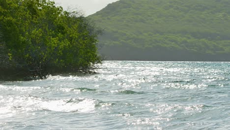 Pan-to-tropical-Caribbean-mangrove-shore-as-ocean-waves-crash-and-sunlight-glistens-sparkling