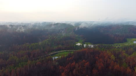 Verkohlte-Waldlandschaft-Mit-Rauchwolken-In-Der-Ferne-In-Der-Nähe-Von-Fox-Creek