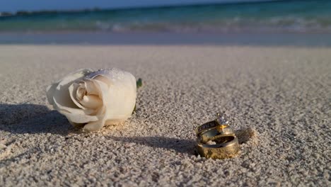 Close-up-white-rose-flower-and-wedding-ring-on-sand-beach,-wedding-beach-concept