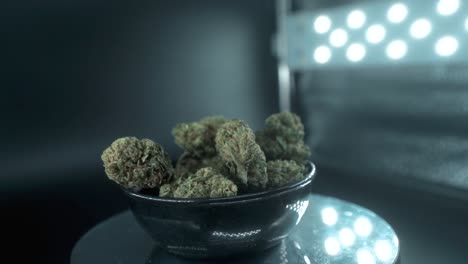Green-Dried-Marijuana-Buds-Close-Up-Shot,-pile-of-dried-marijuana-plants-in-a-shiny-bowl,-trichomes-strains,-on-a-reflecting-rotating-stand,-studio-lights,-cinematic-slow-motion-120-fps-video
