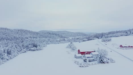 Hütten-Und-Wälder-In-Norwegen-Mit-Starkem-Schneefall-Bedeckt---Luftaufnahme