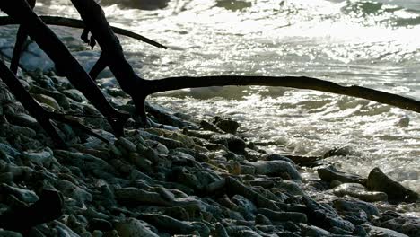 Wave-water-retreats-pulling-back-from-basalt-rocks-as-light-glistens-shining-past-mangrove-branches