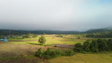 Mueang-Khong-Reisfelder-Am-Frühen-Morgen-Nach-Der-Ernte-Mit-Der-Sonne,-Die-Durch-Nebel-Und-Wolken-Ihren-Höhepunkt-Erreicht,-Landwirtschaft-Und-Landwirtschaftliche-Reisfelder-Nach-Der-Ernte,-Drohne-Aus-Der-Luft