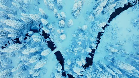 Overhead-View-Of-Forest-And-River-Covered-In-Dense-Snow-During-Wintertime