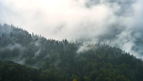 Nebel-Weht-über-Dem-Wald-Am-Klöntalersee