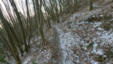 Forest-walking-on-a-beautiful-path-in-Italy---Castelletta