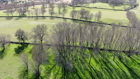 Flug-über-Blattlose-Bäume-Im-Winter,-Der-Einzelne-Bauernhöfe-Mit-Horizontalen-Steinmauern-Und-Einigen-Mit-Wasser-überfluteten-Grundstücken-Visualisiert