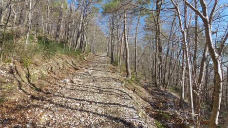 Waldspaziergang-Auf-Einem-Wunderschönen-Weg-In-Italien---Castelletta