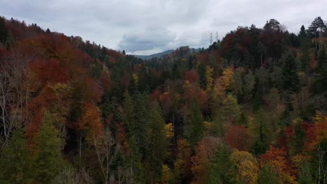 Drone-flying-over-the-autumn-forest-in-Switzerland