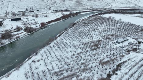 Drone-shot-of-an-apple-orchard-covered-in-snow