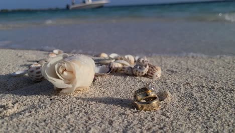 Single-pristine-white-flower-adorning-a-gleaming-wedding-ring-on-soft-sand,-sea-background