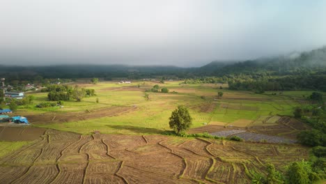Beautiful-Mountain-Valley-Countryside-Traditional-Agriculture-Rice-Fields-Harvest,-Early-Morning-Sea-of-Mist-with-Rice-Paddies,-Mueang-Khong-Chiang-Dai-Chiang-Mai