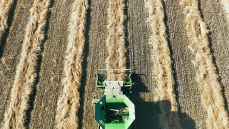 Aerial-view-of-a-John-Deere-combine-picking-up-a-canola-swath