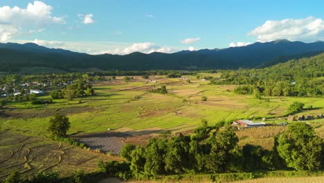 Lush-Green-Valley-and-Agriculture-Land-with-Green-Rice-Paddies,-Mountain-Valley-Countryside-Farming-Land,-Rice-Fields-in-the-Mountains,-Mueang-Khong-Chiang-Dao