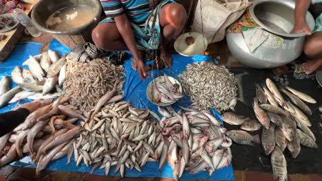 Closeup-view-of-fishmonger-selling-his-fishes-at-a-roadside-stall-in-Kolkata,-India