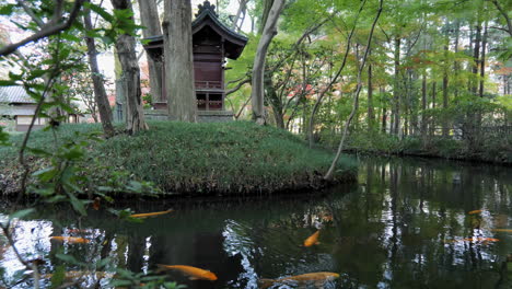 A-koi-fish-pond-in-a-Japanese-temple-in-Tokyo,-every-detail-of-the-landscape-is-designed-to-guarantee-an-internal-state-of-contemplation-and-peace