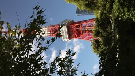 Looking-Up-At-Tokyo-Tower-On-Clear-Day-Past-Swaying-Tree-Branch