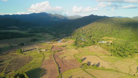 Rice-Paddies-surrounded-by-Mountains-in-the-Afternoon-Evening-Warm-Sunlight,-South-East-Asia-Paddy-Fields-Traditional-Farming-Technique