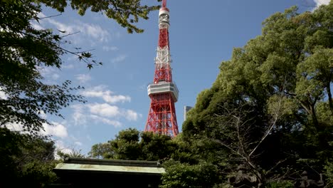Torre-Eléctrica-Rodeada-De-Imponentes-árboles-Bajo-Un-Cielo-Azul-En-Tokio,-Japón