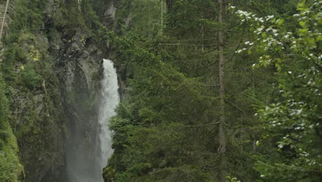 Experience-the-serene-beauty-of-an-Austrian-forest-waterfall-surrounded-by-trees