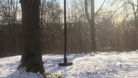 Tranquil-winter-scene-with-a-snow-covered-landscape-and-a-swing-hanging-from-a-sturdy-tree,-bathed-in-the-soft-glow-of-sunlight